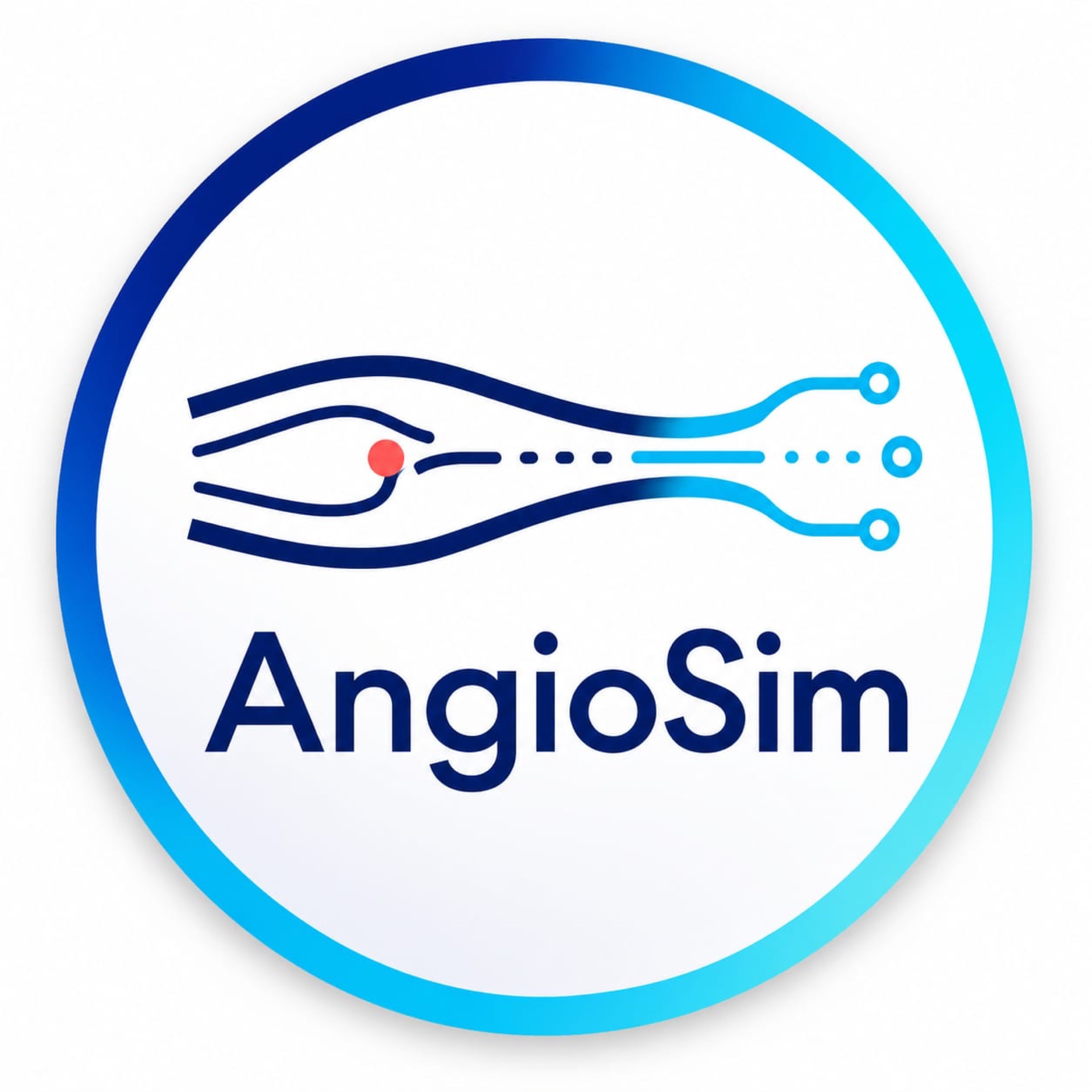 AngioSim