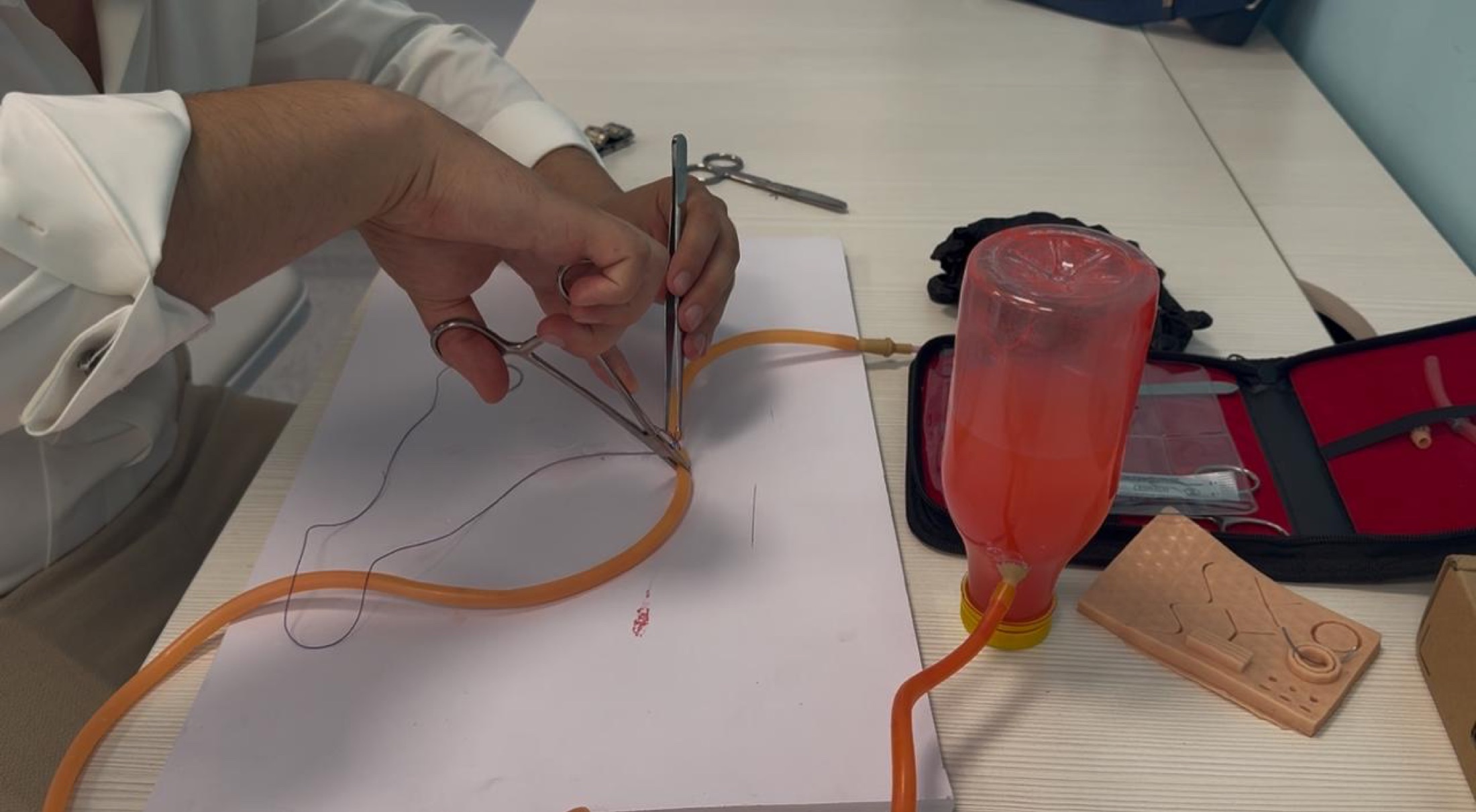AngioSim