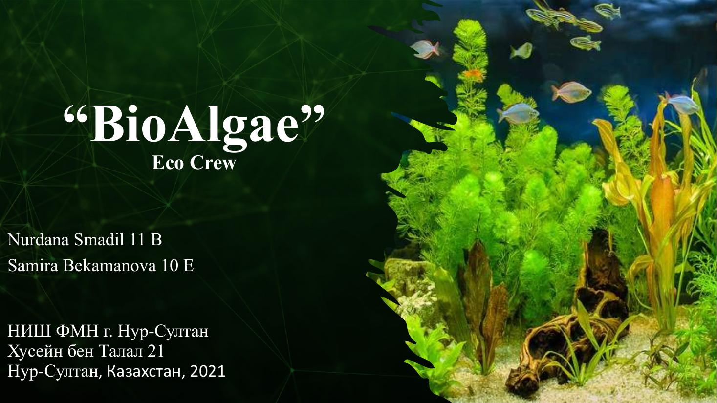 EcoCrew - BioAlgae