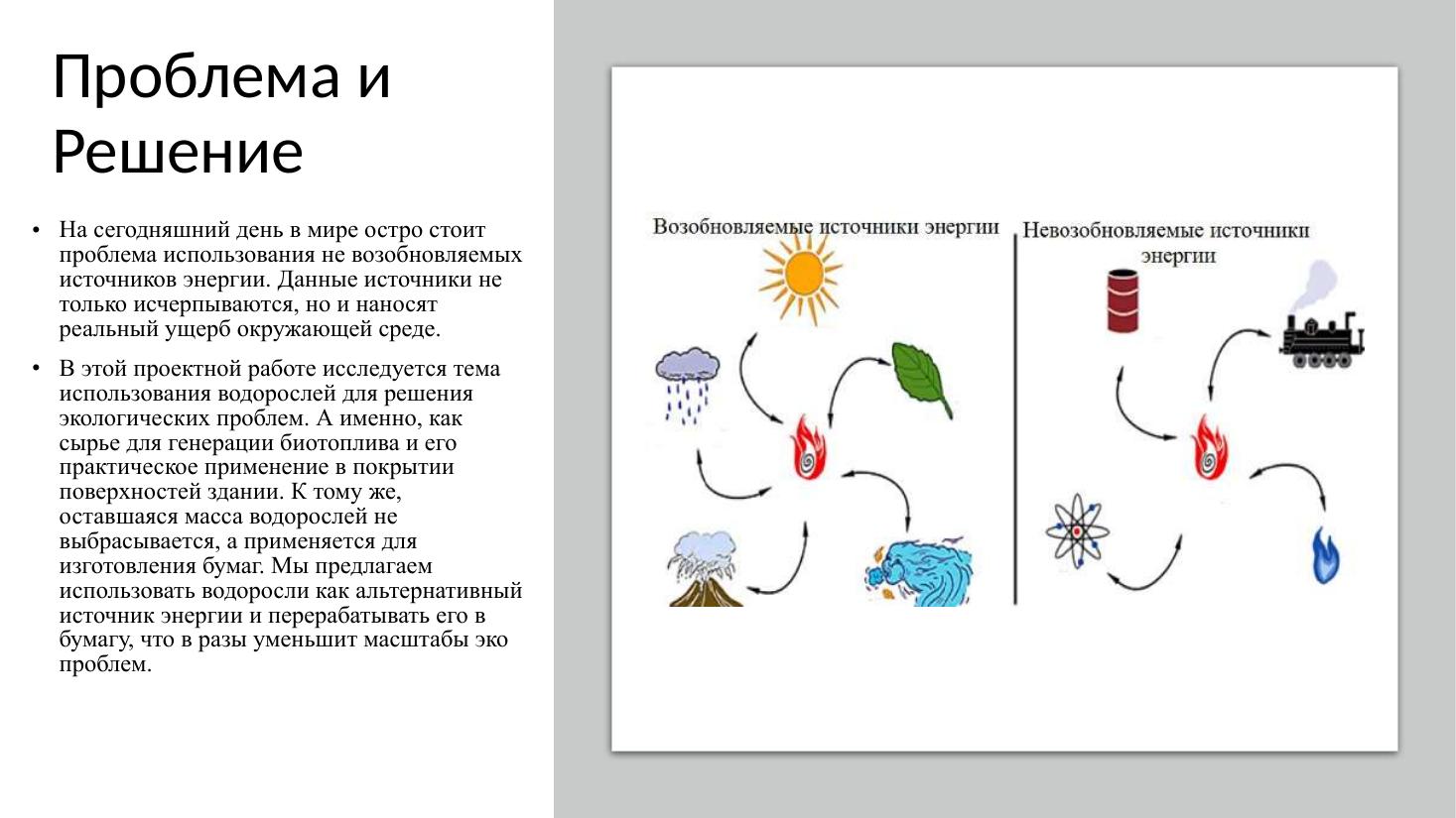 EcoCrew - BioAlgae
