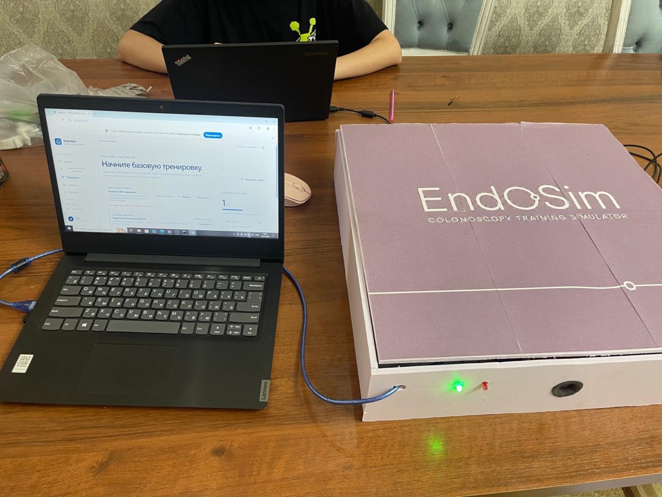 Endosim