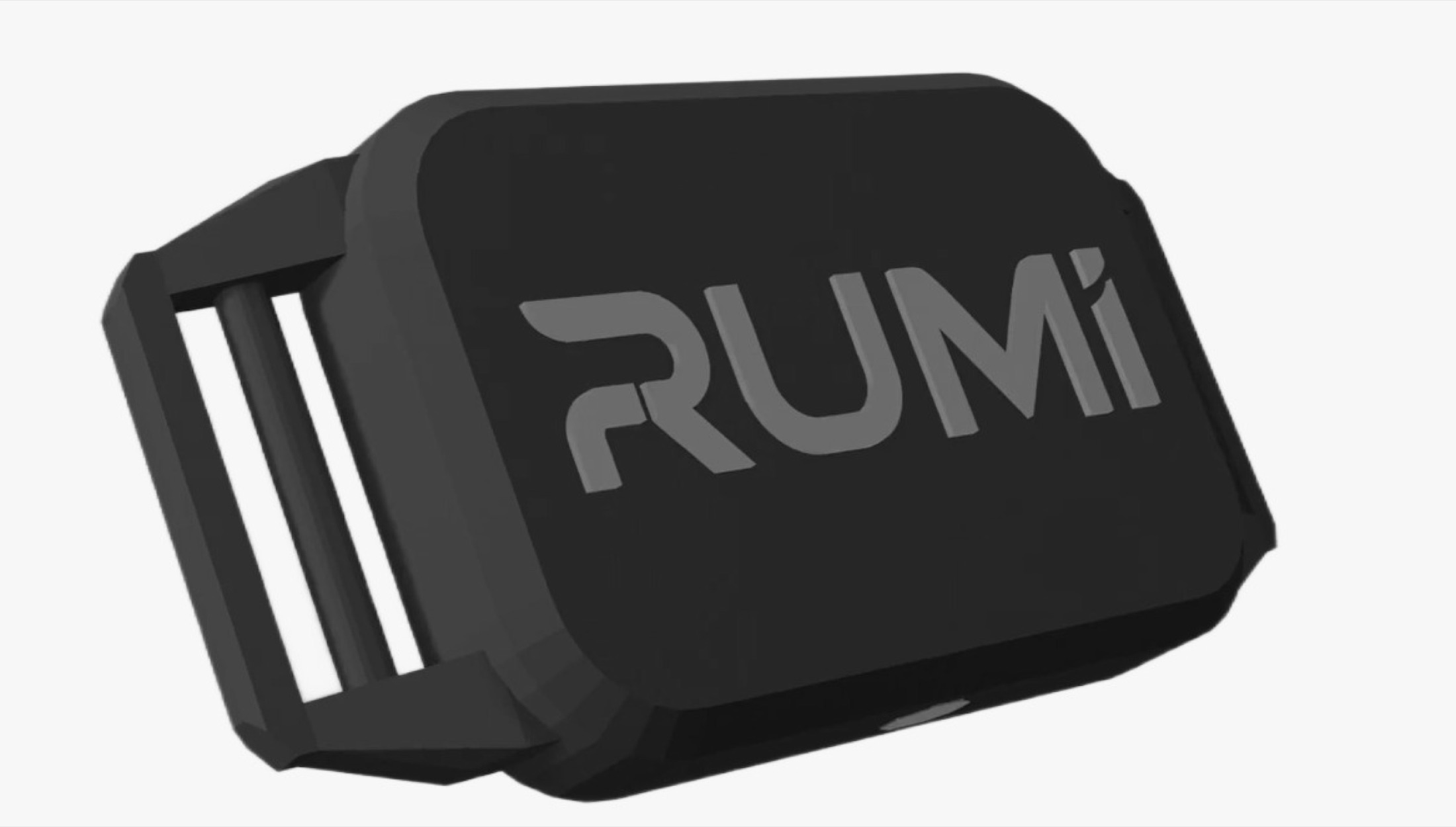 RUMI AI