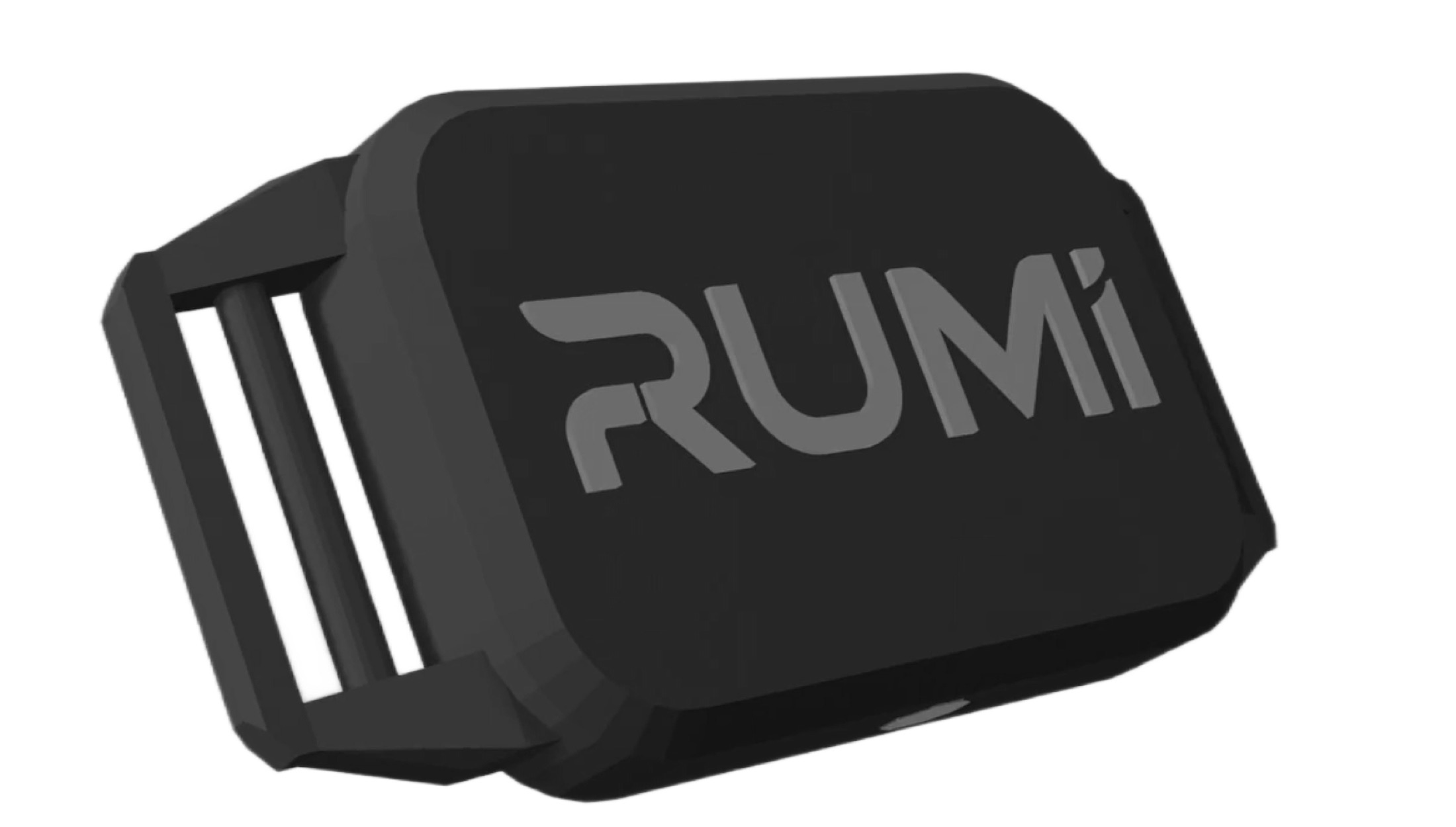 RUMI AI
