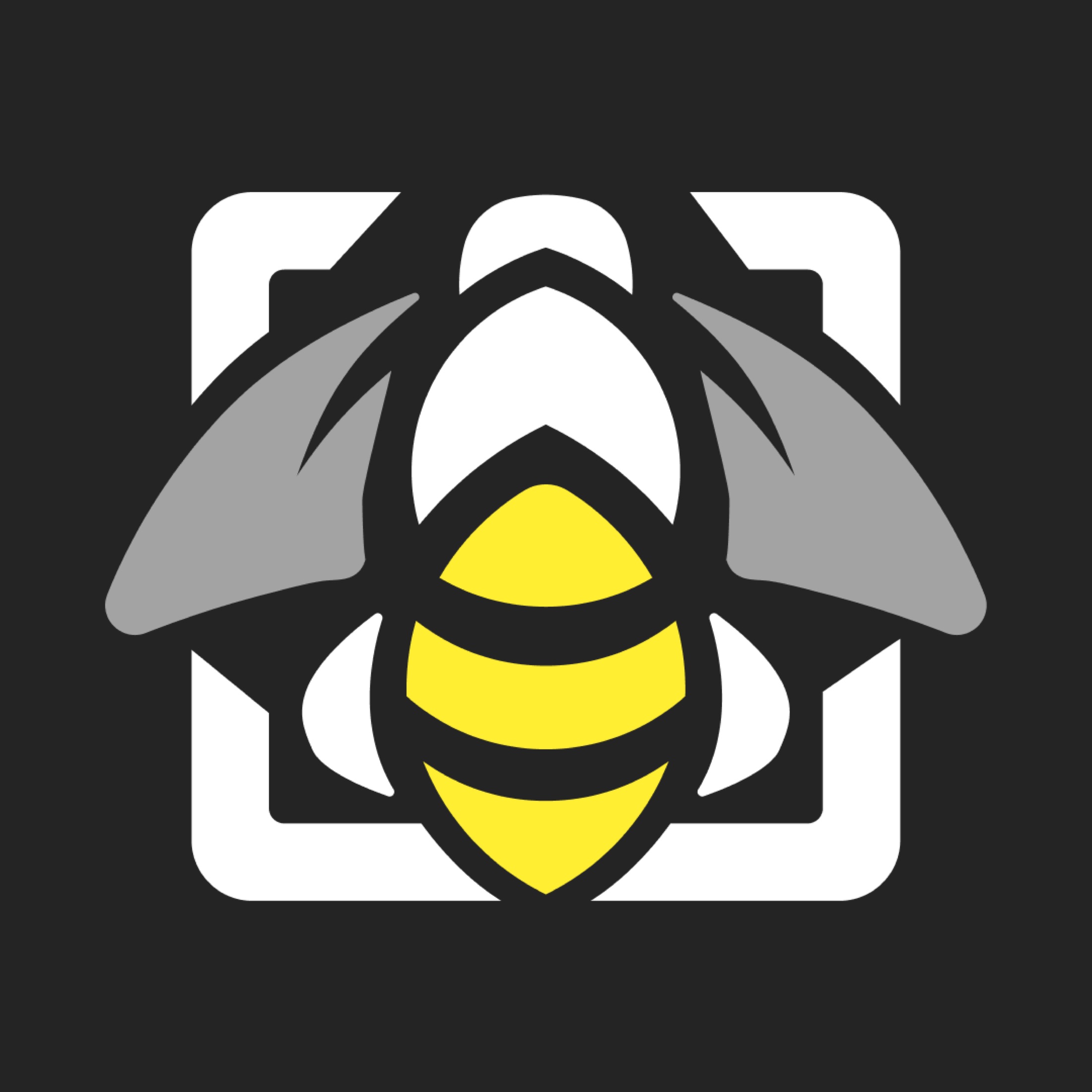 Smart Beehives