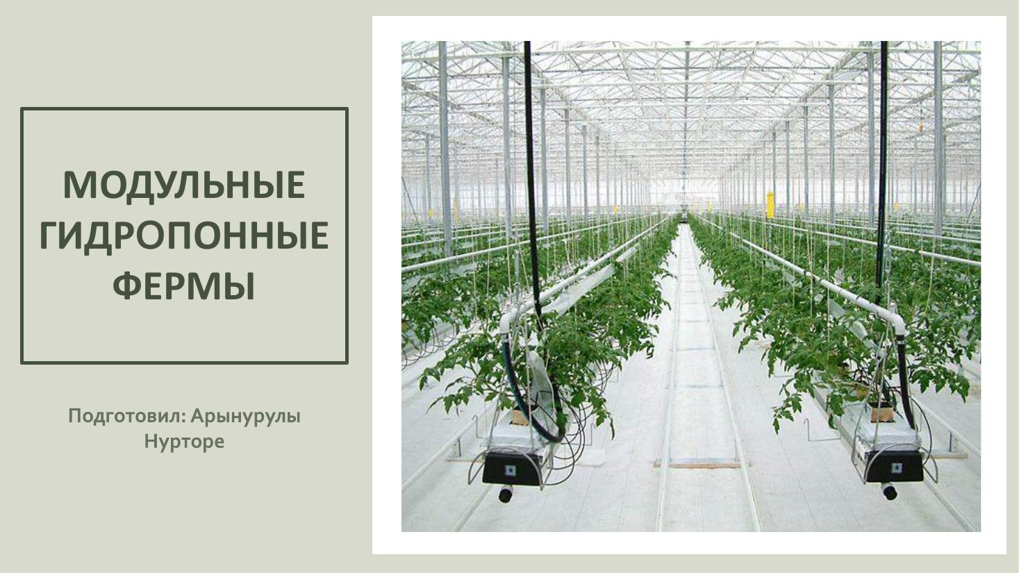 UMAI jobasy